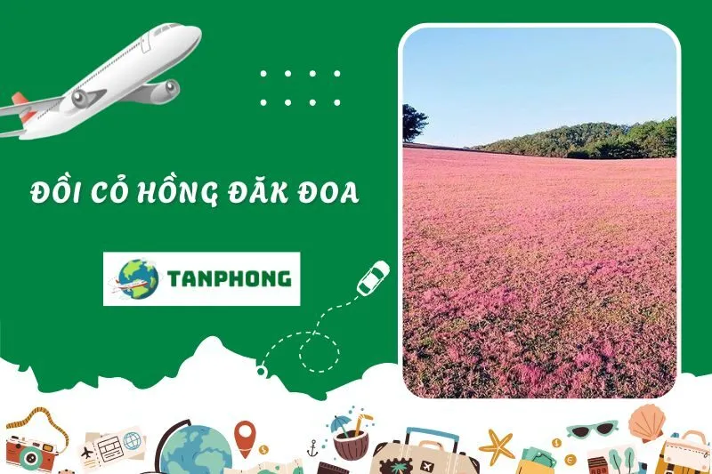 Đồi cỏ hồng Đăk Đoa
