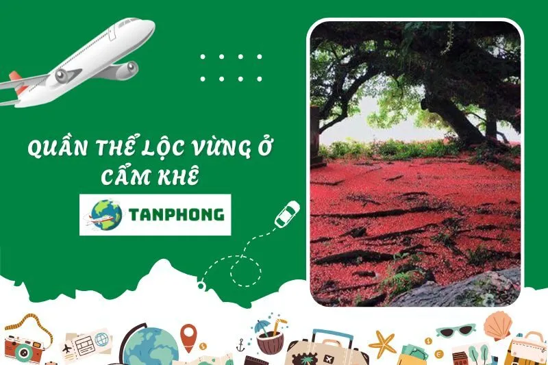 Quần thể Lộc Vừng ở Cẩm Khê