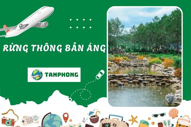 Rừng thông Bản Áng