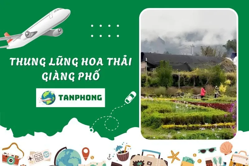 Thung lũng hoa Thải Giàng Phố
