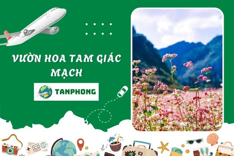 Vườn hoa tam giác mạch