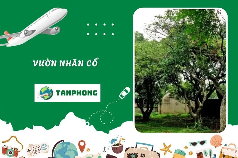 Vườn Nhãn Cổ
