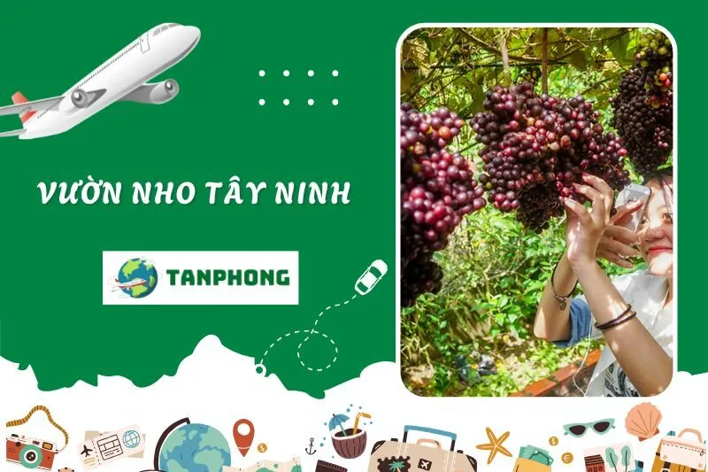 Vườn Nho Tây Ninh