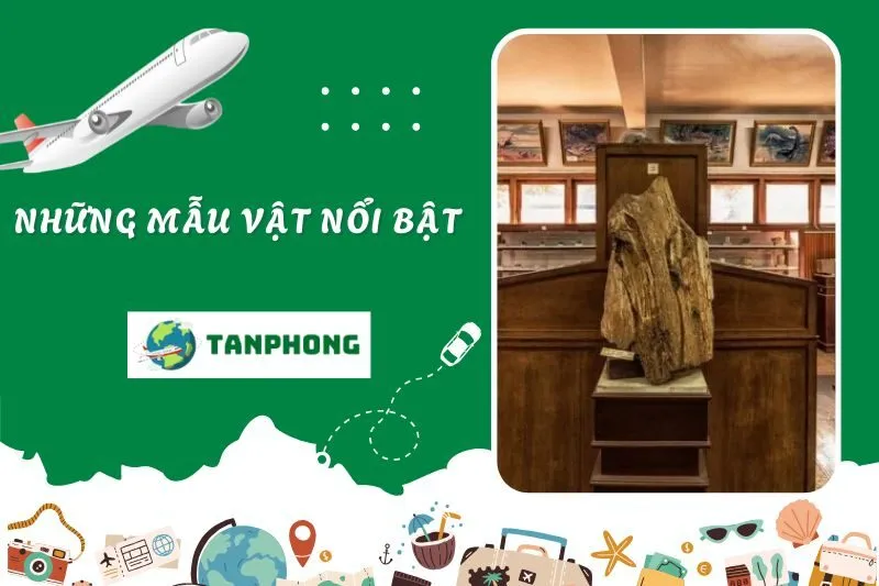 Những mẫu vật nổi bật tại Bảo tàng Địa chất Hà Nội