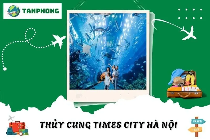 Thủy Cung Times City Hà Nội: Khám Phá Các Khu Vực Và Hoạt Động Đặc Sắc