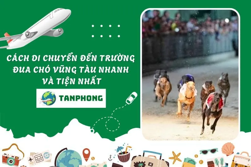 Cách di chuyển đến Trường đua chó Vũng Tàu nhanh và tiện nhất
