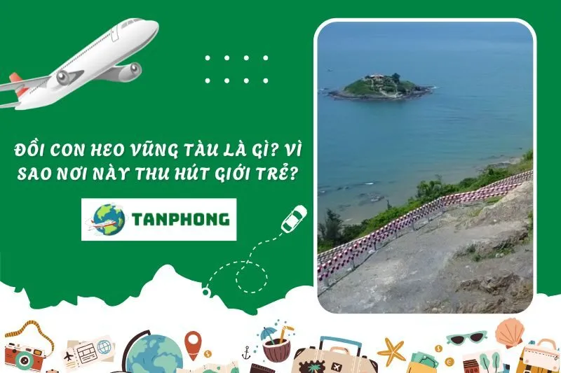 Đồi Con Heo Vũng Tàu là gì? Vì sao nơi này thu hút giới trẻ?