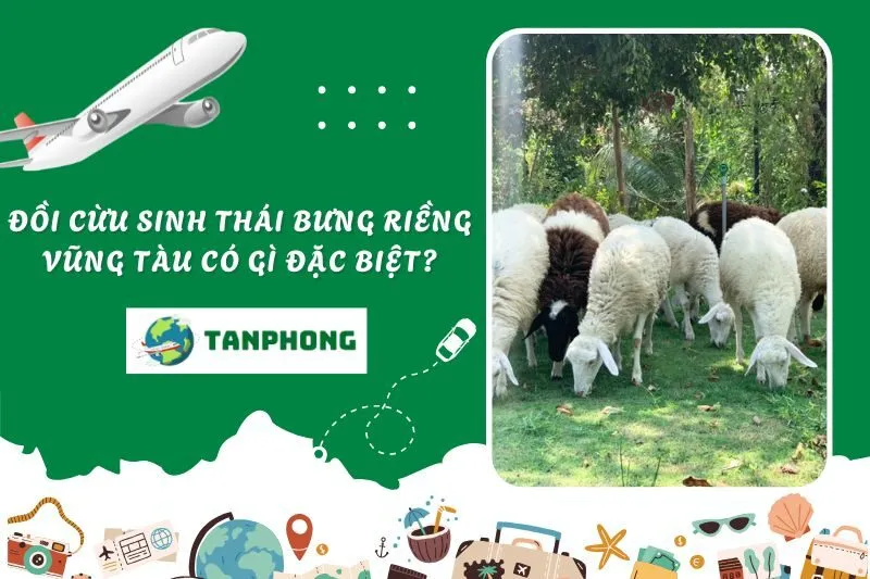Đồi cừu sinh thái Bưng Riềng Vũng Tàu có gì đặc biệt?