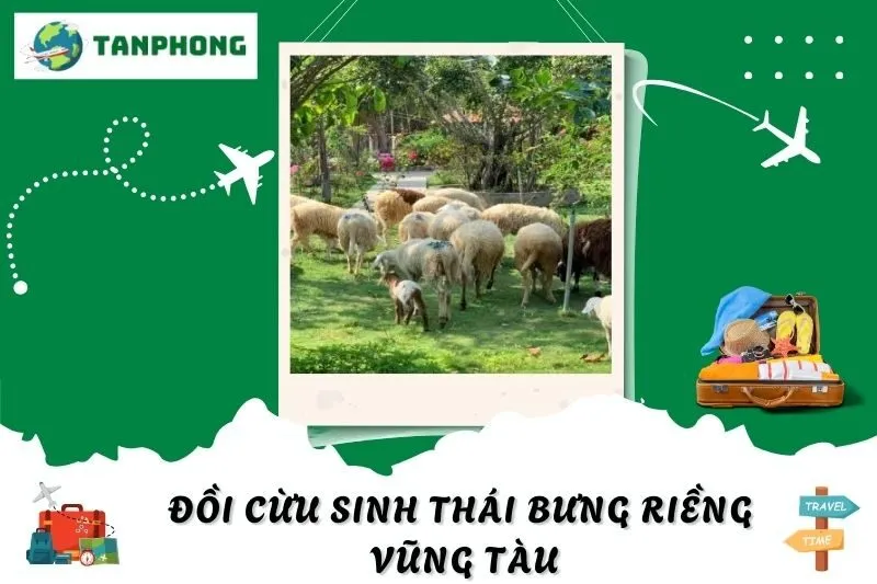 Đồi Cừu Sinh Thái Bưng Riềng Vũng Tàu: Trải Nghiệm Đáng Nhớ Với Cừu Trắng Và Thiên Nhiên