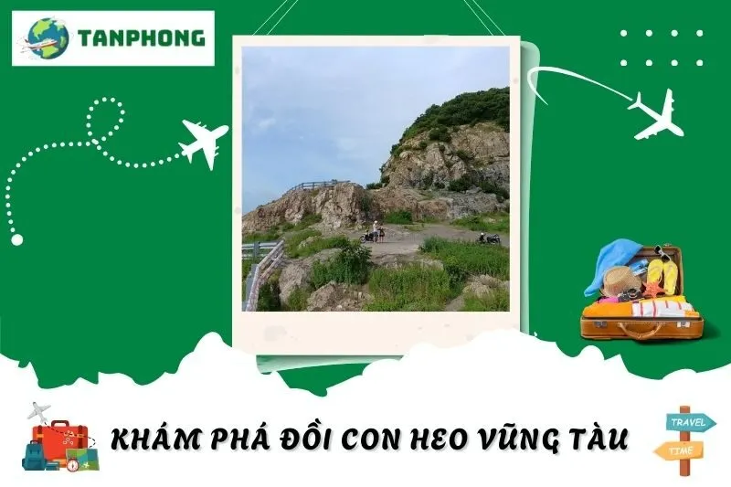 Khám Phá Đồi Con Heo Vũng Tàu: Góc Sống Ảo Tuyệt Đẹp Gần Biển