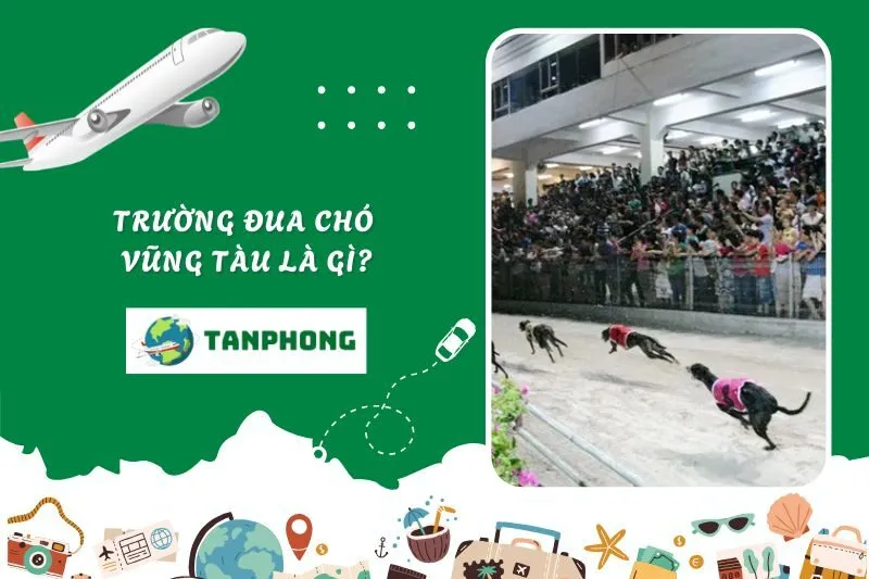 Trường đua chó Vũng Tàu là gì?