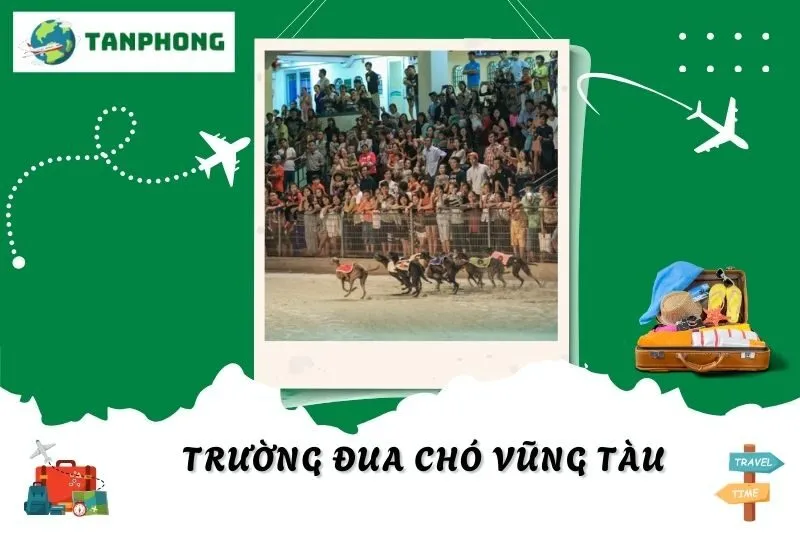 Trường Đua Chó Vũng Tàu: Địa Điểm Độc Đáo Đầy Hồi Hộp
